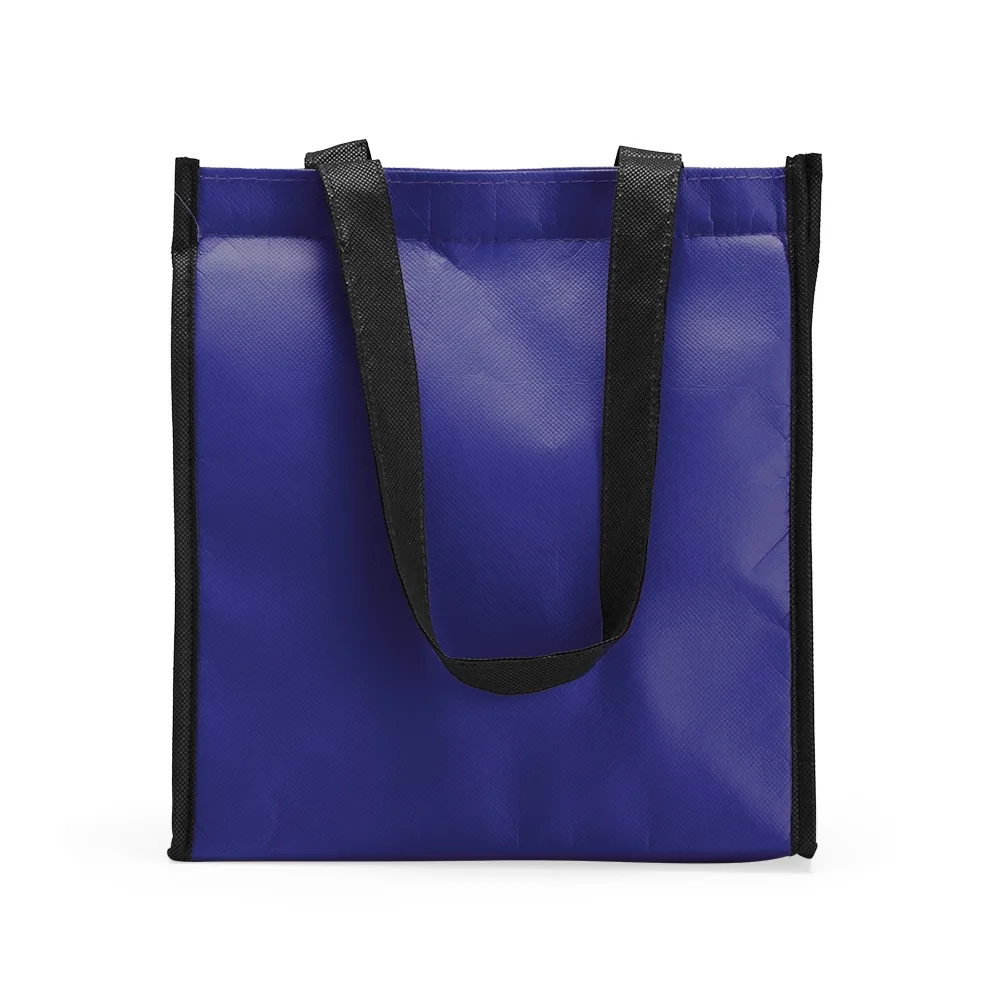 Bolsa Térmica 12 Litros
