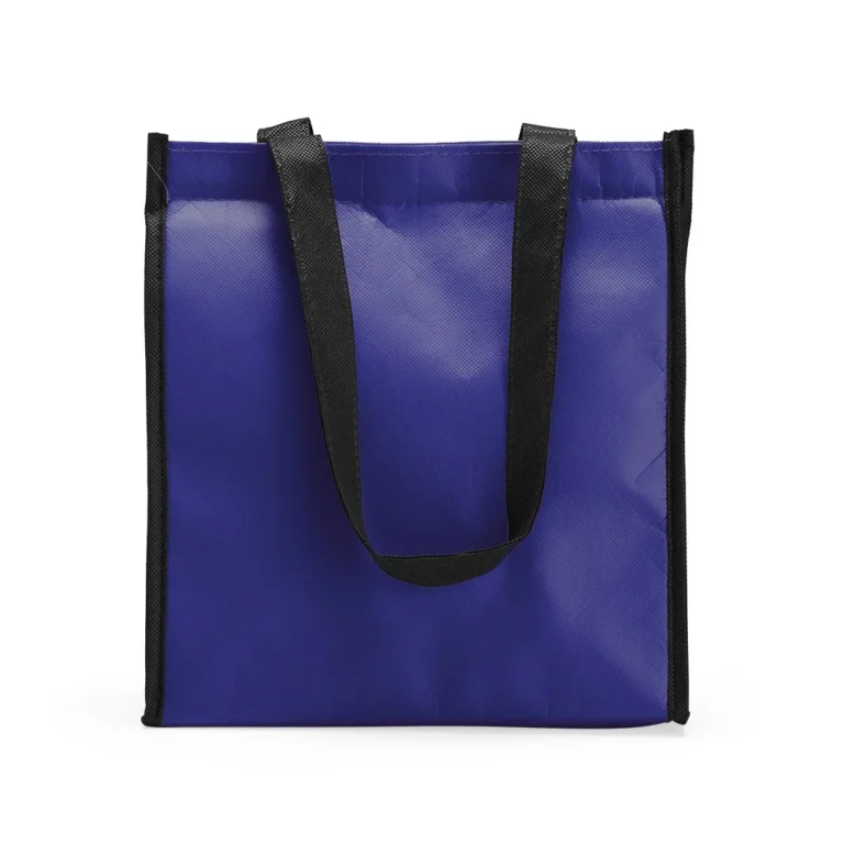 Bolsa Térmica 12 Litros